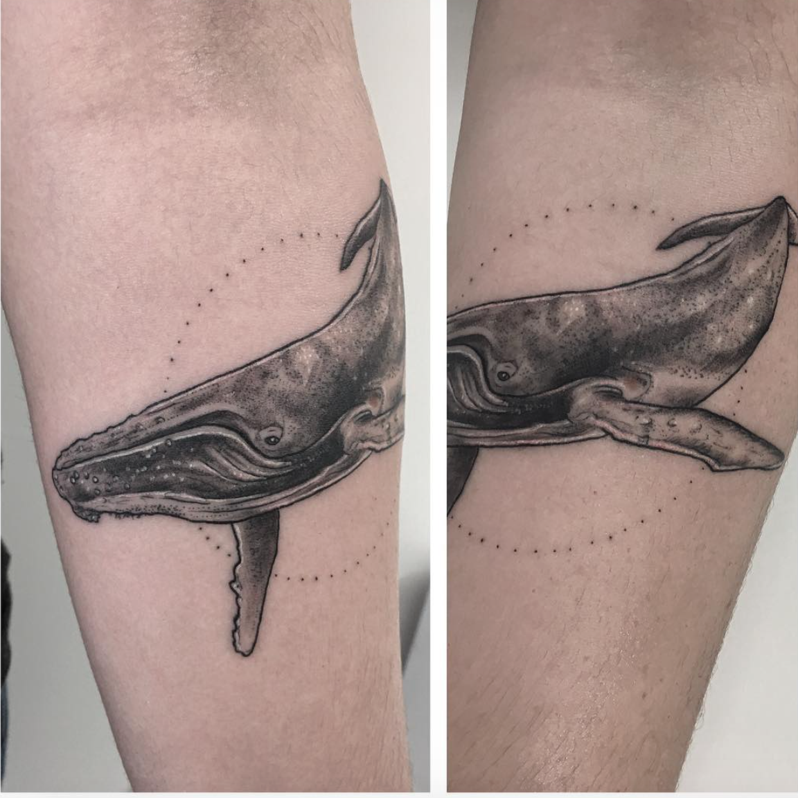 Humpback