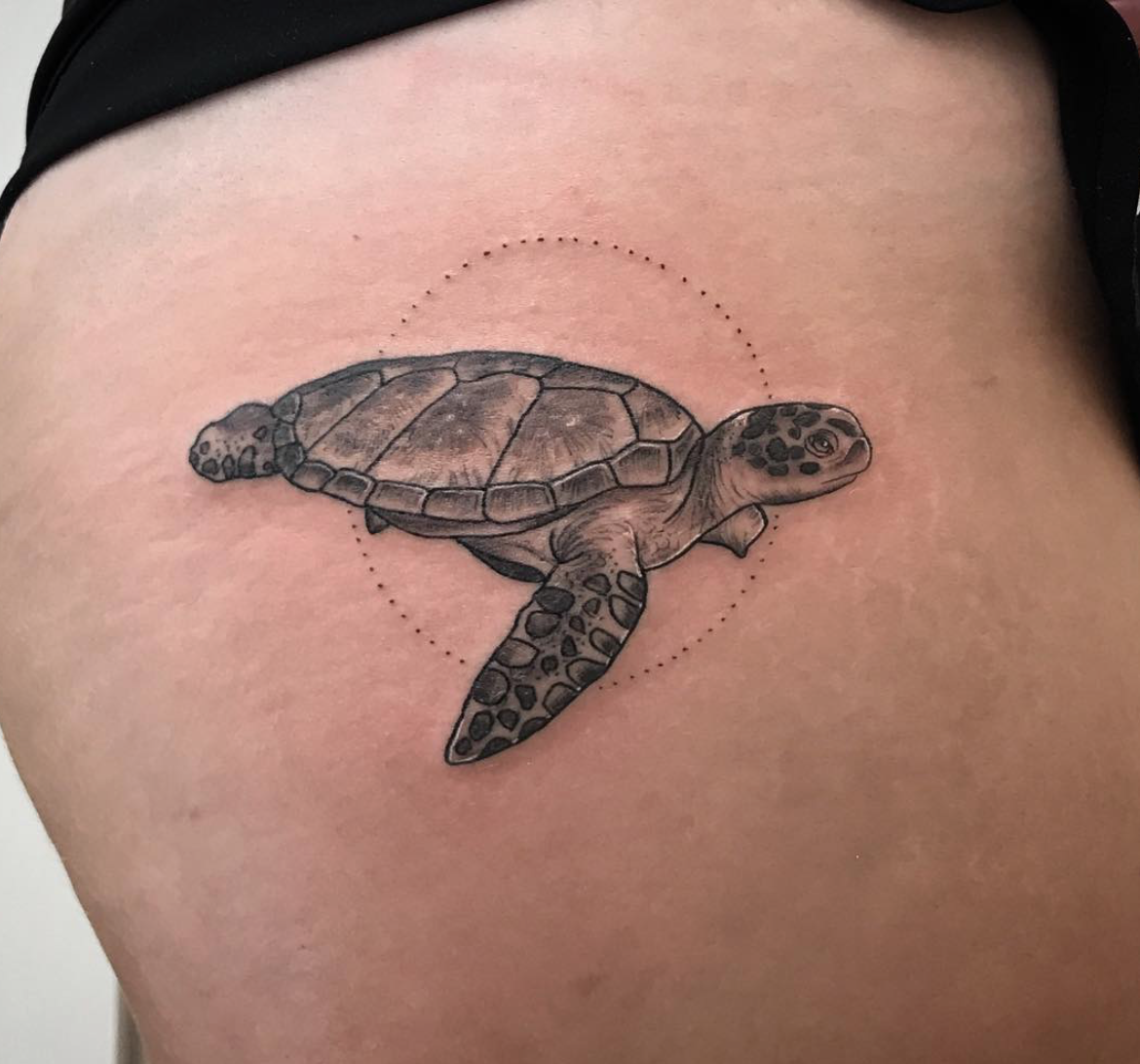 Green Sea Turtle