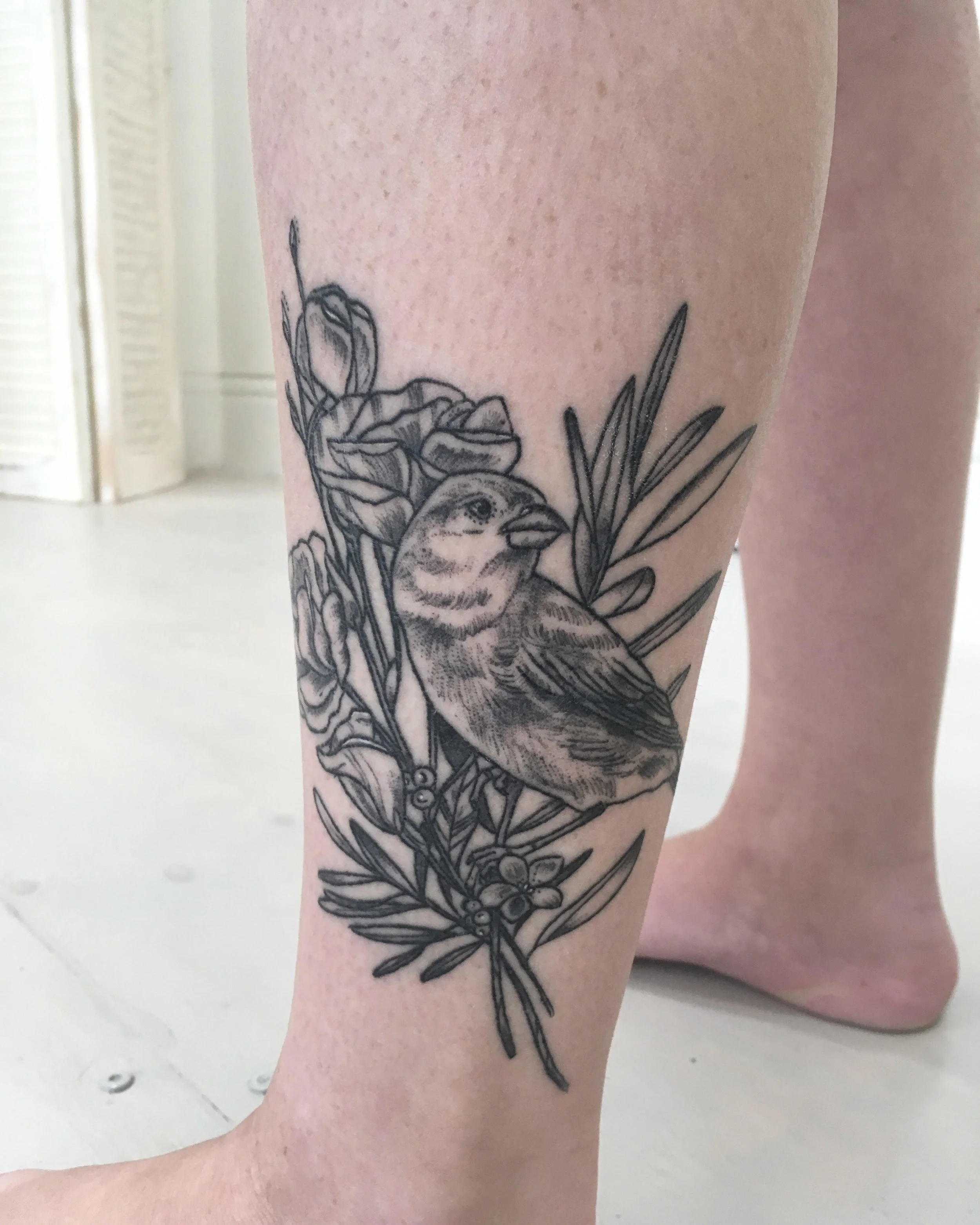 Sparrow and Olive Leaf (Healed)