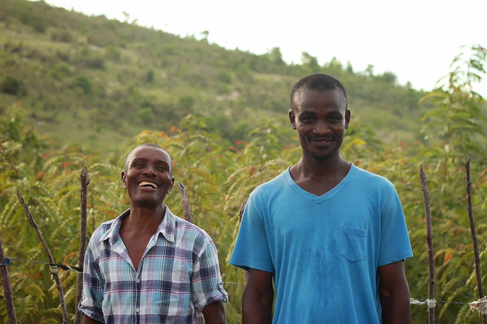 Two tree nursery committee members planted a "small forest" project (behind) using the traditional konbit