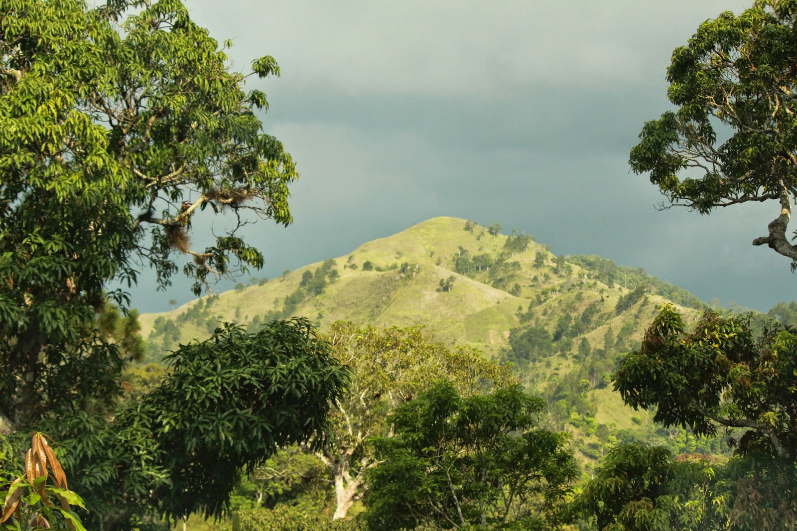 View of landscape in Haiti's northeastern department. (Photo credit: Ted Oswald)