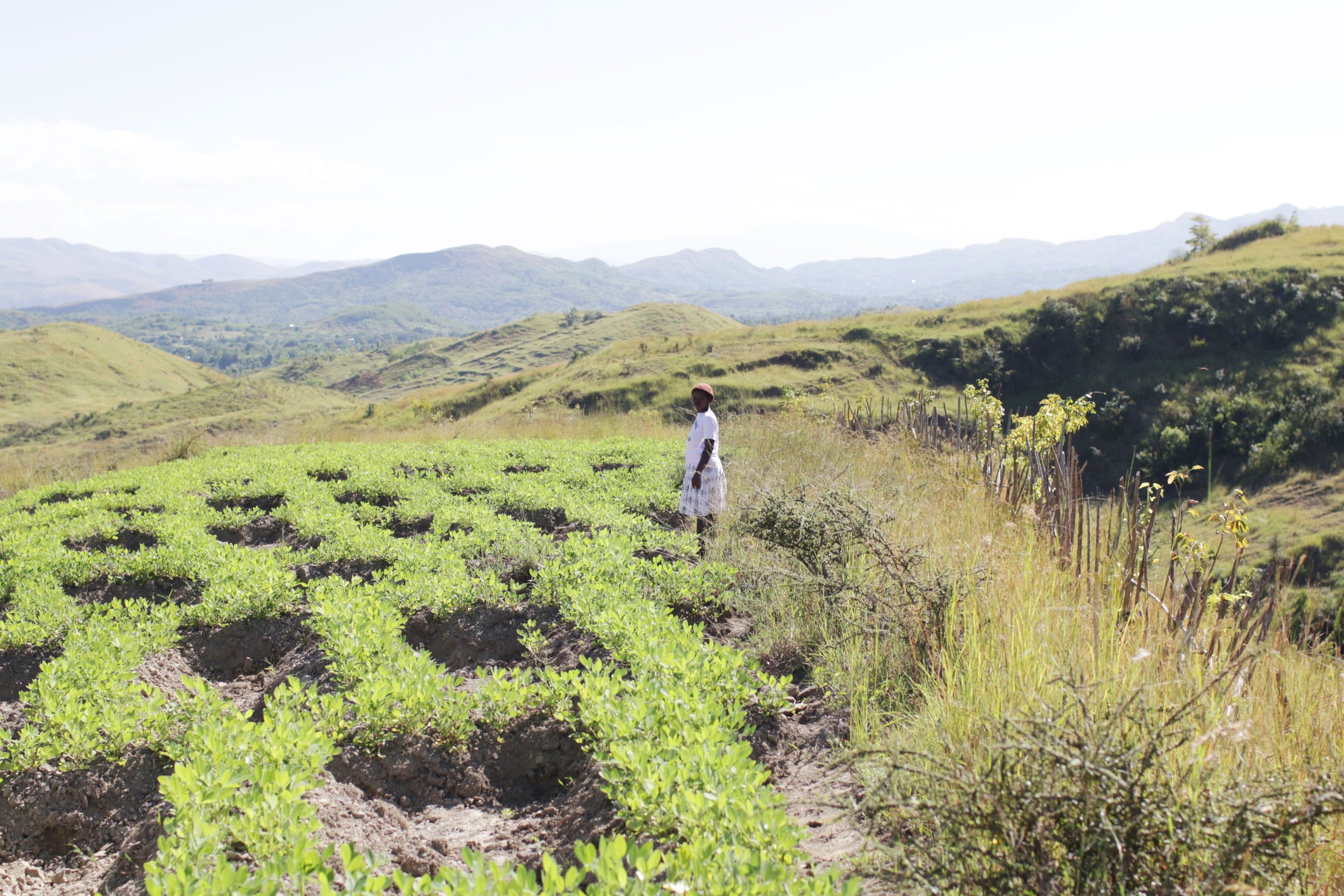 Peanut farmer, Maksiane Piarre stands in her peanut garden in Kabaye. Growing peanuts brings financial stability to her family. MCC works with Maksiane and other farmers to develop the best growing practices. Maksiane told us, “Growing peanuts helps with cash and I didn’t have any and they (MCC) were willing to help me.” Photo credit: Anna Yoder