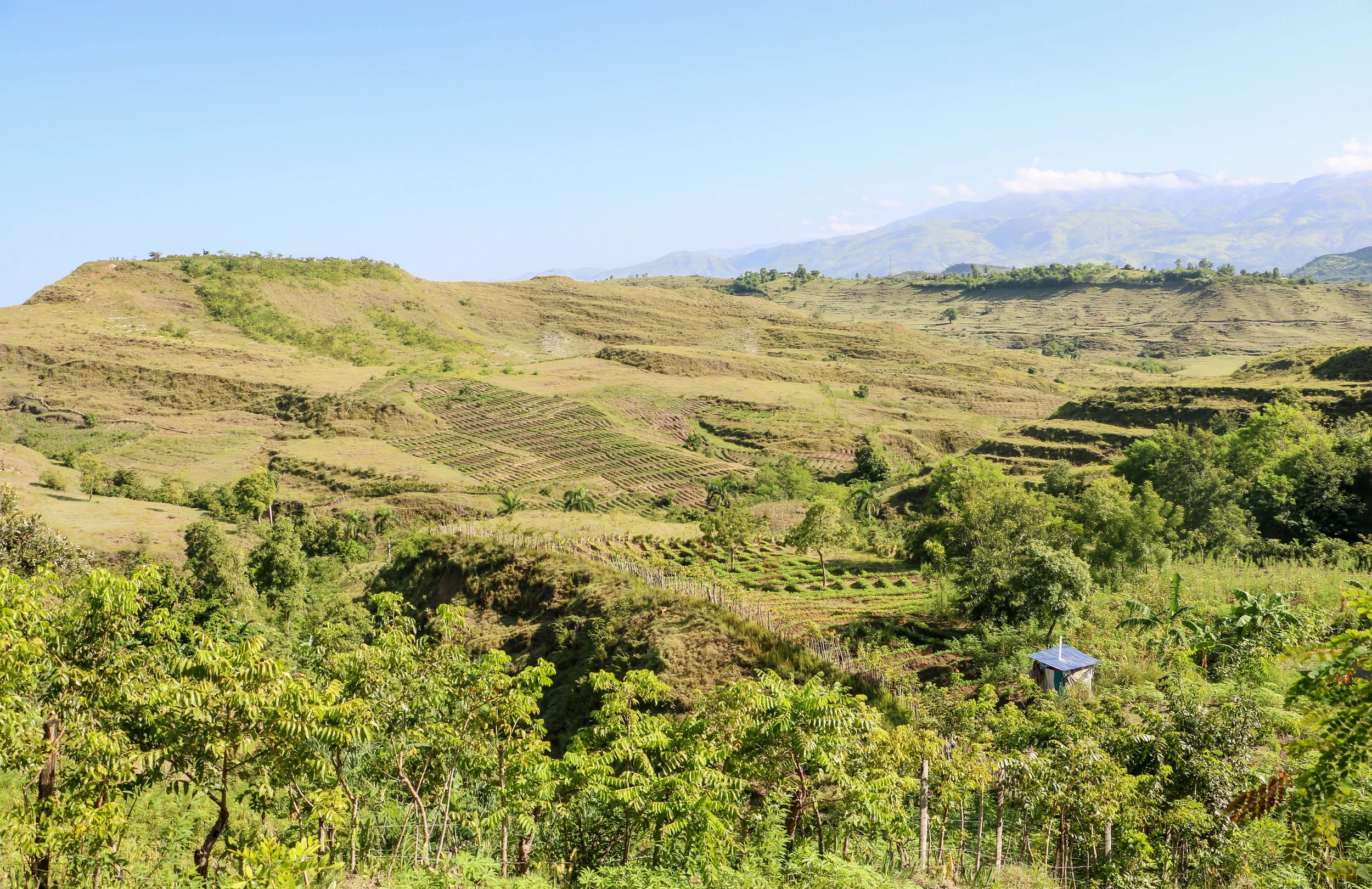 A completed latrine in Kabay, Haiti. in the background are terraced gardens part of another MCC agriculture project. August 2017