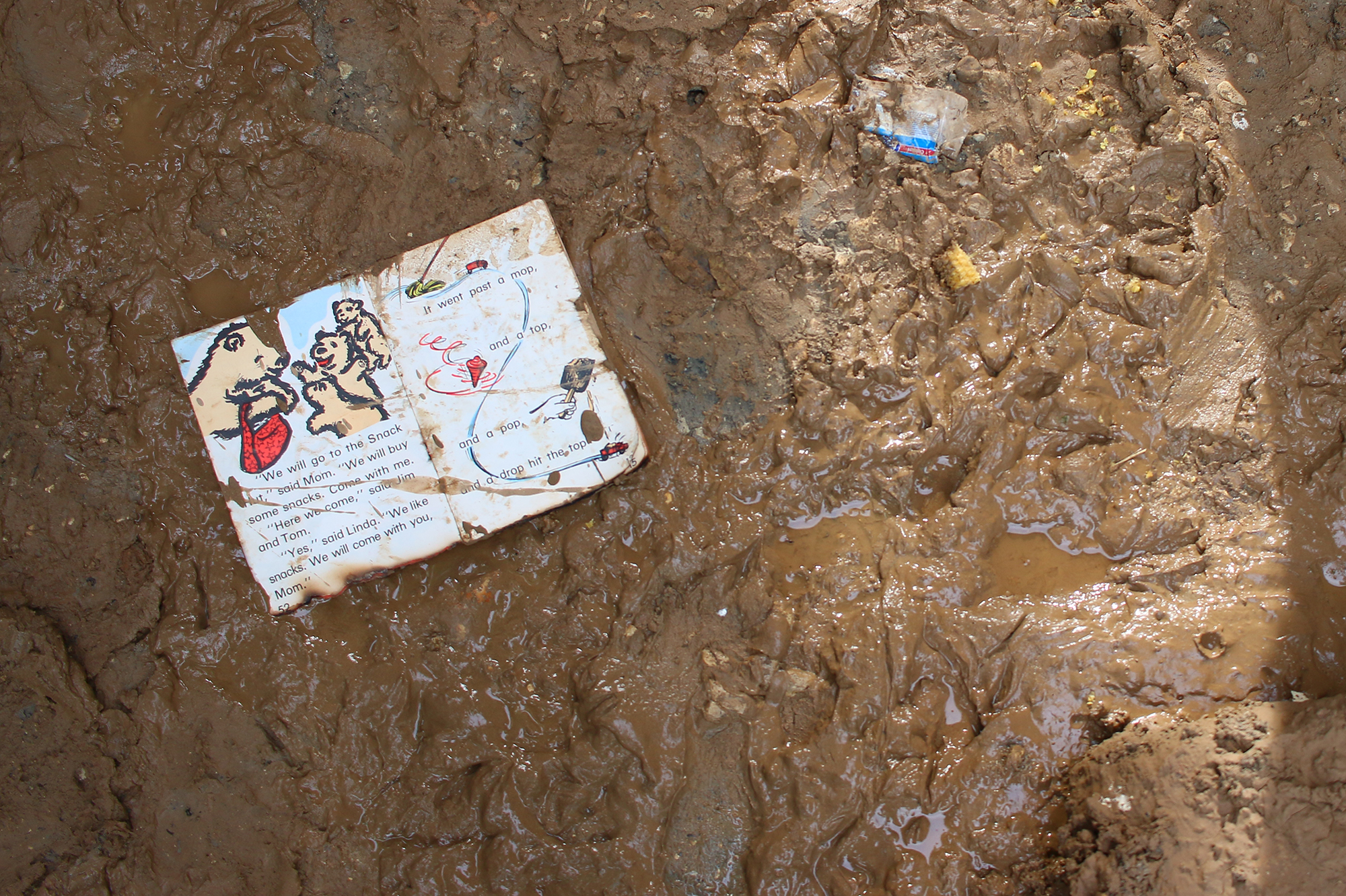 The destruction of gardens in La Chappelle commune means a significant loss of income for many residents. Without the income from garden produce, many families will not be able to afford school fees for the coming school year. Photo/Annalee Giesbrecht