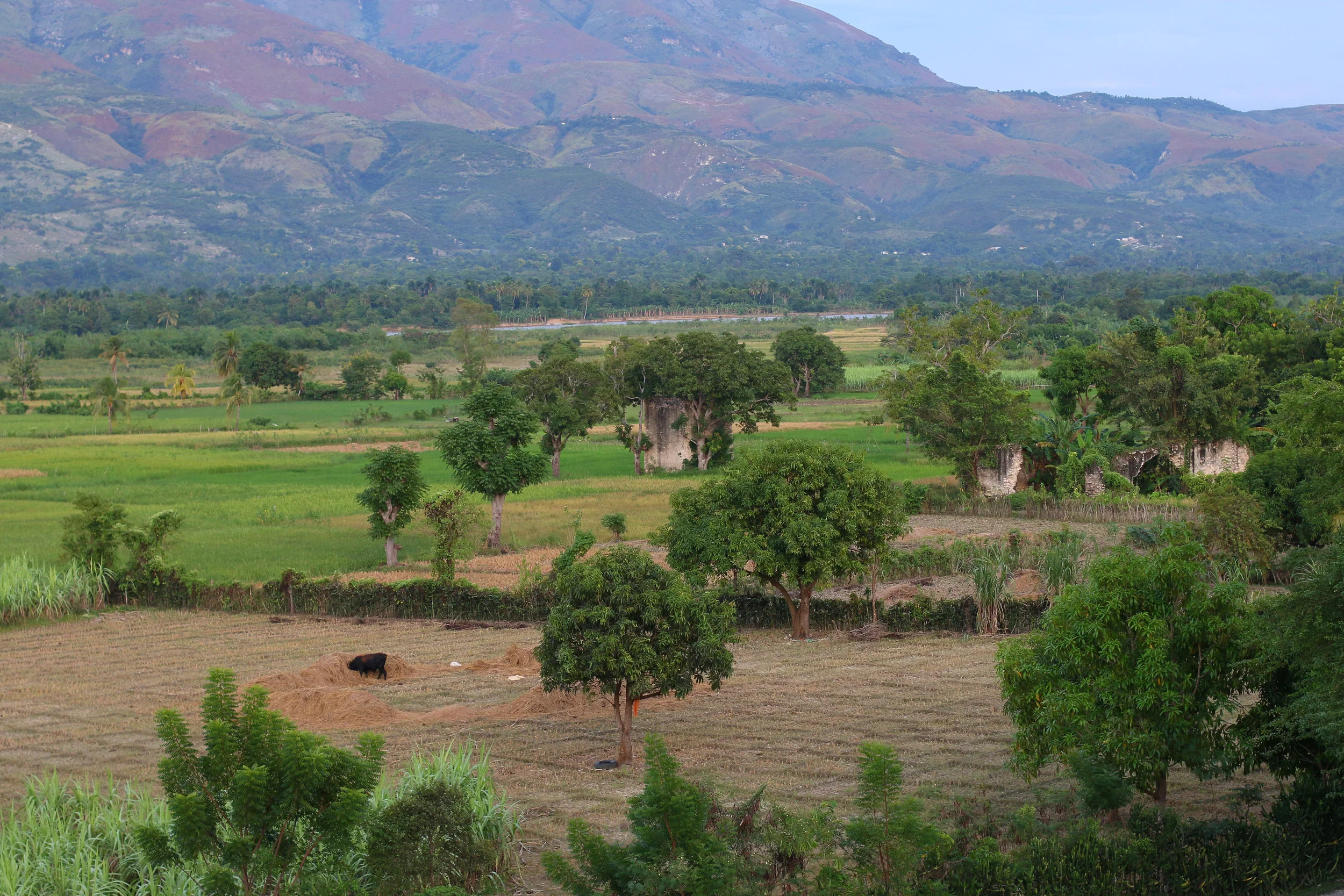 A view of the Artibonite valley at dusk from a footpath outside of Desarmes.