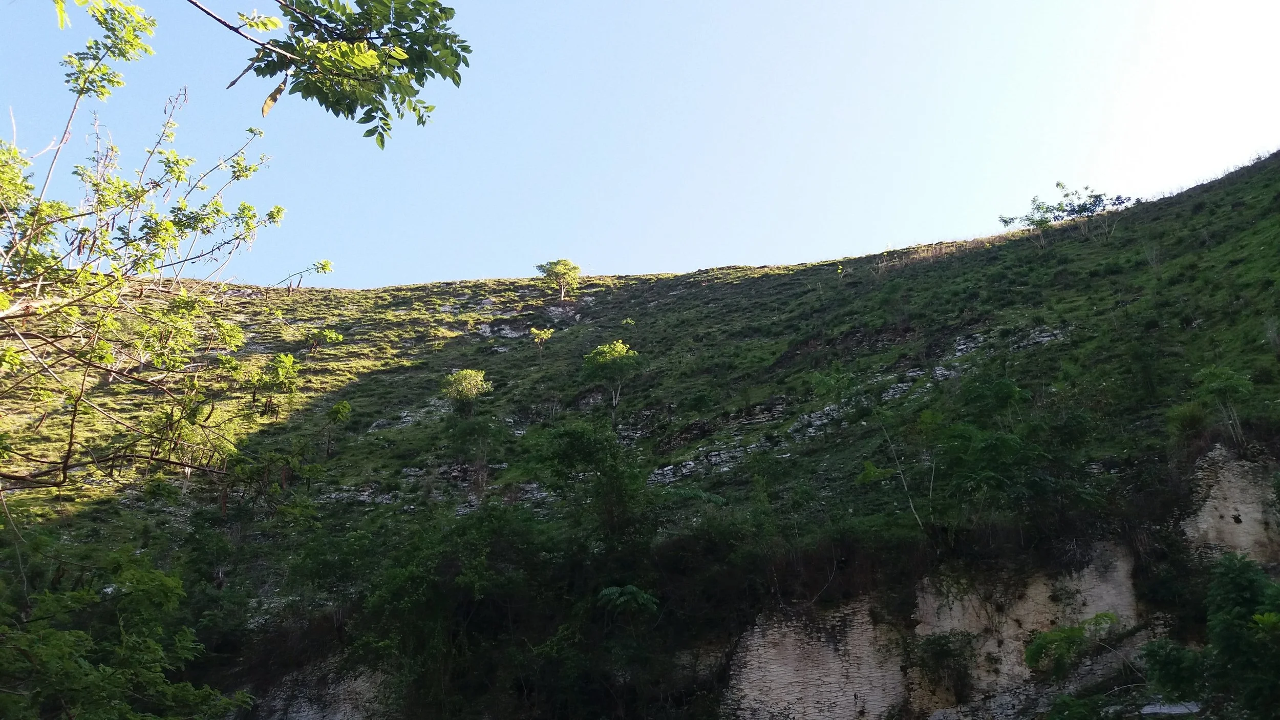 20190430_082630.jpg