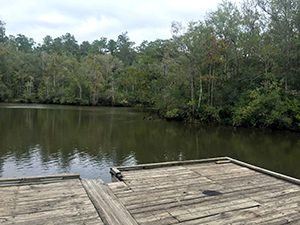 Dock at Brynes Lake, present day