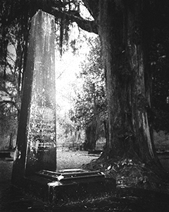 Photo courtesy of Sean Herman and available for purchase at the Serpents of Bienville Gallery