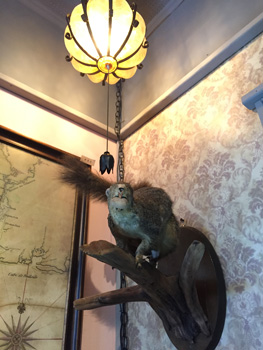 Photo of the inside of the new Serpents of Bienville Space