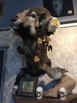 Photo of the inside of the new Serpents of Bienville Space