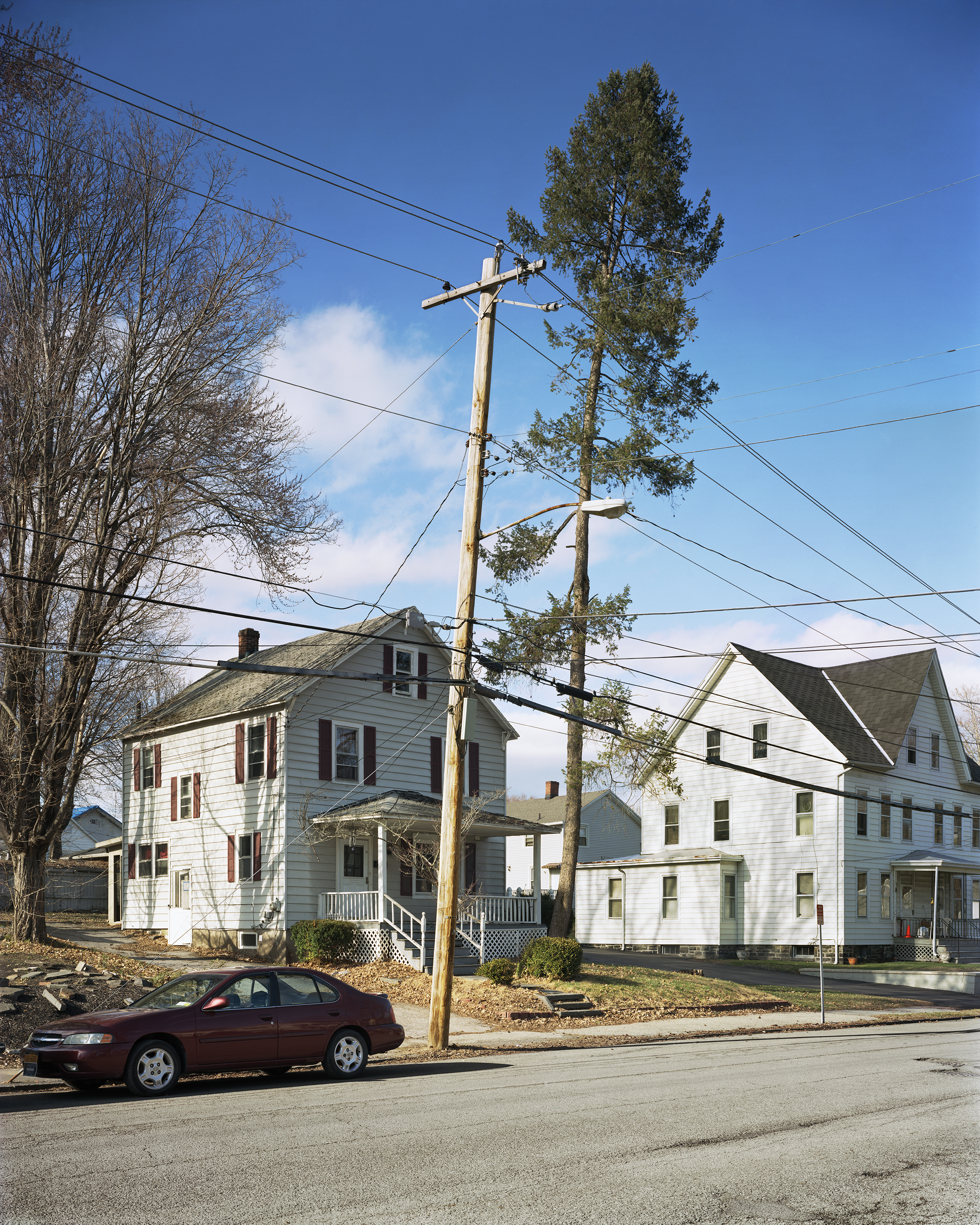 leaning tree leaning pole book.jpg