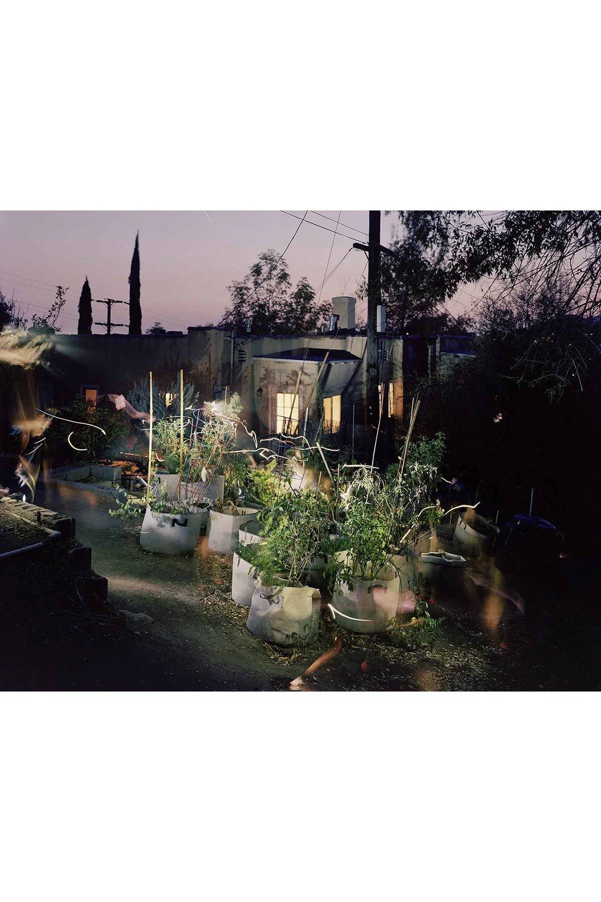 watering for squarespace.jpg