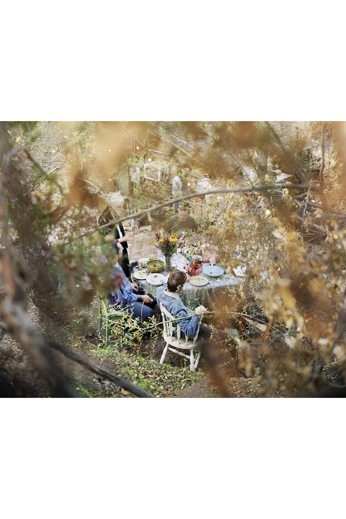 matthew and diva squarespace.jpg