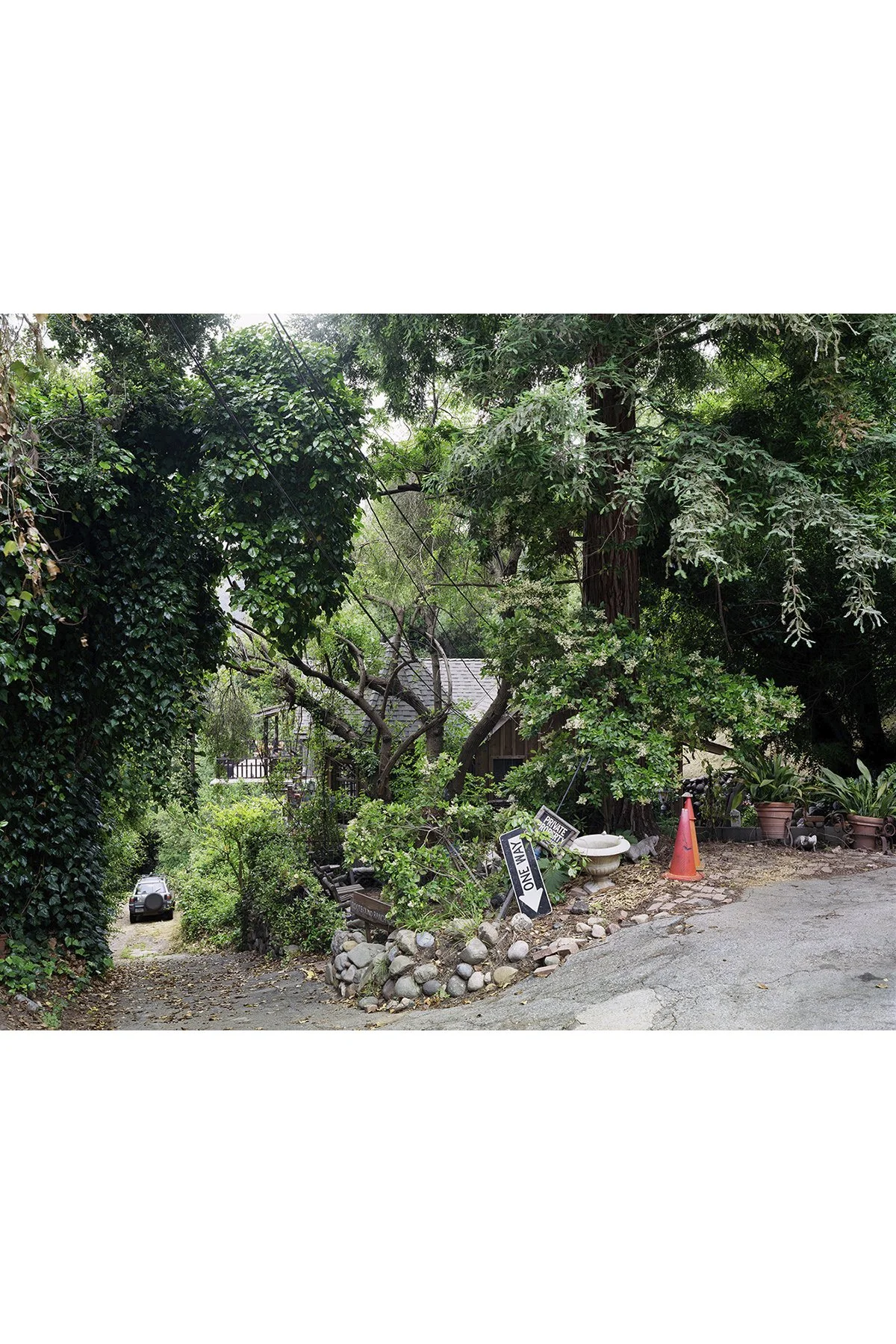 topanga squarespace.jpg