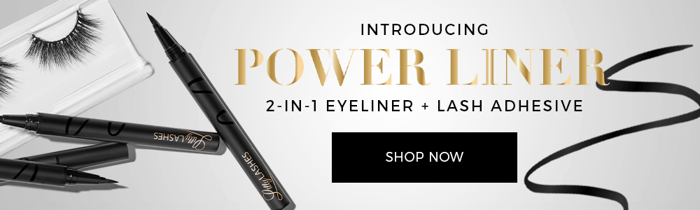 PowerLiner-Subfeature.gif