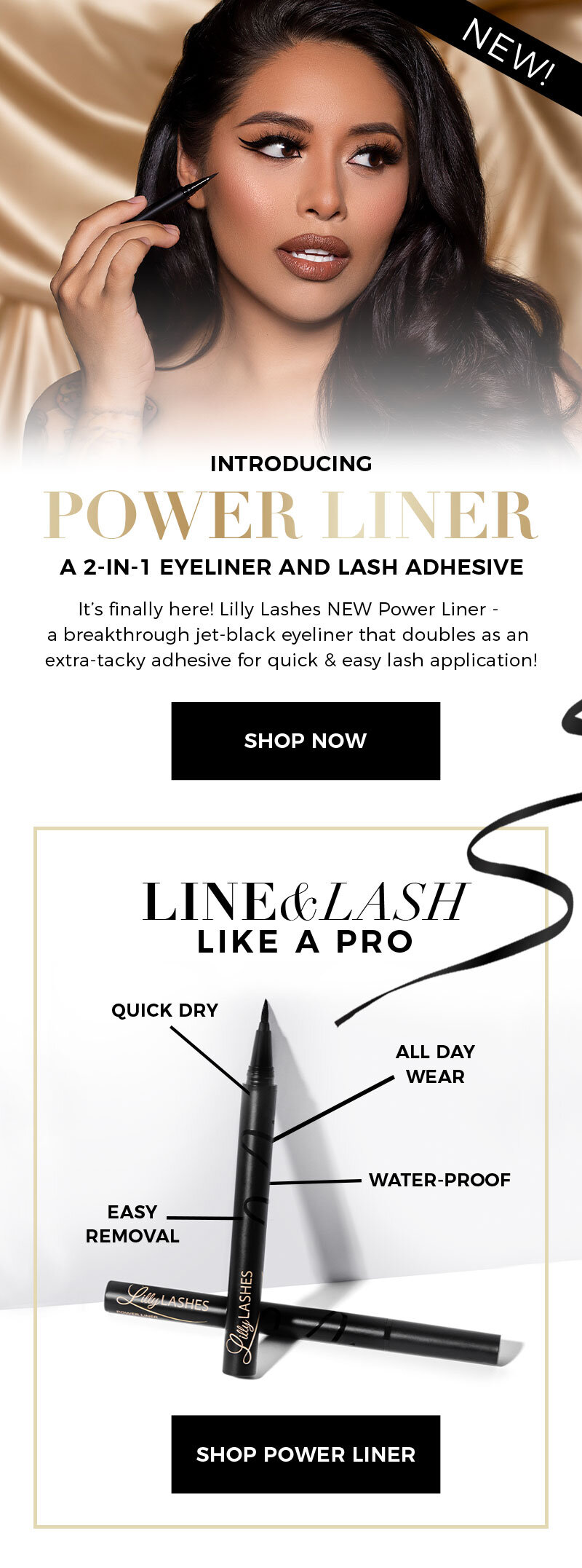PowerLiner-Email2.jpg