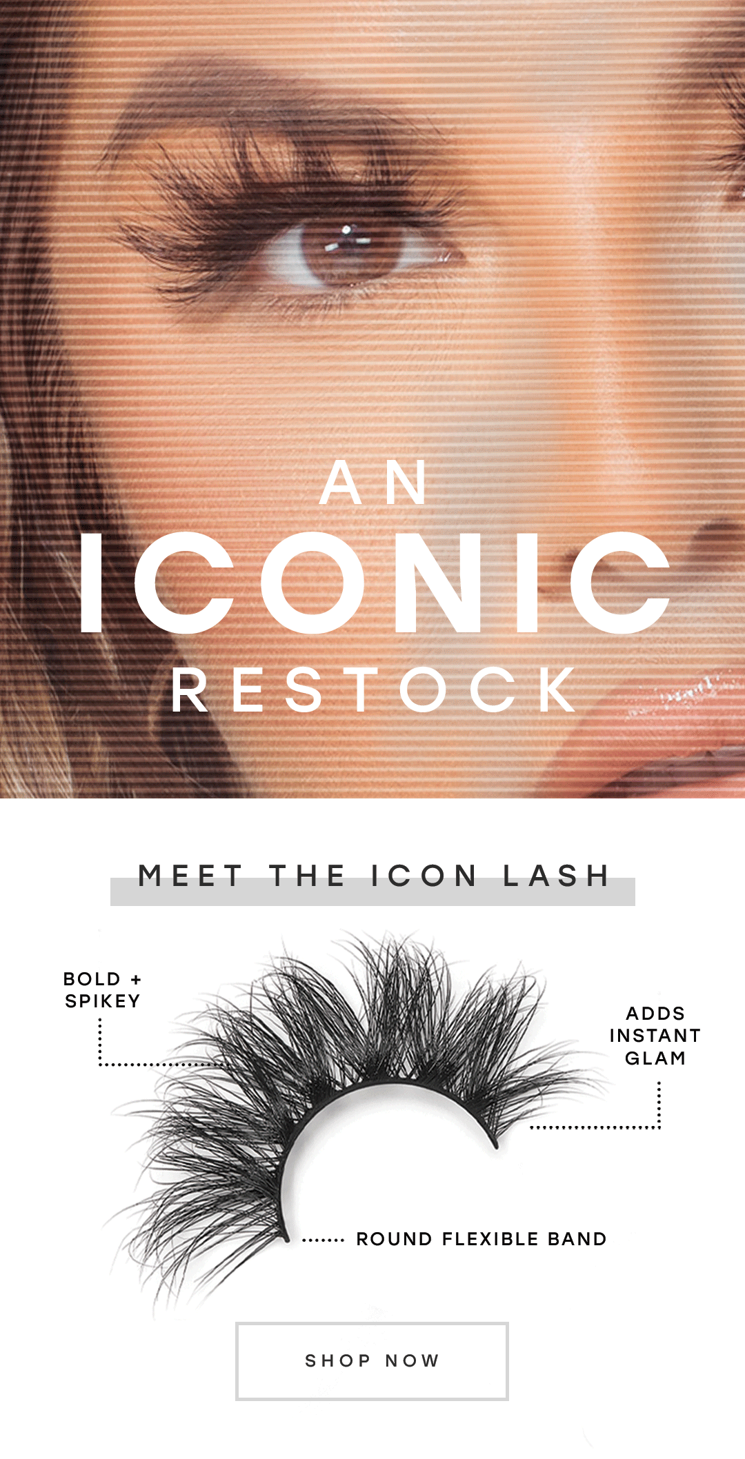 SOHL_IconRestock-6.29_Email1.gif