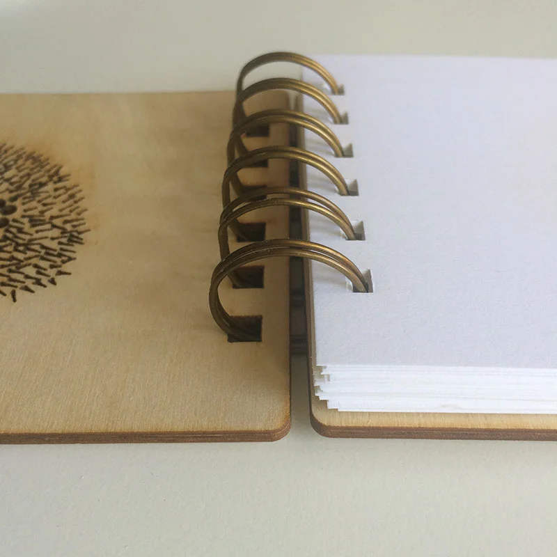 hedgehog_04.jpg