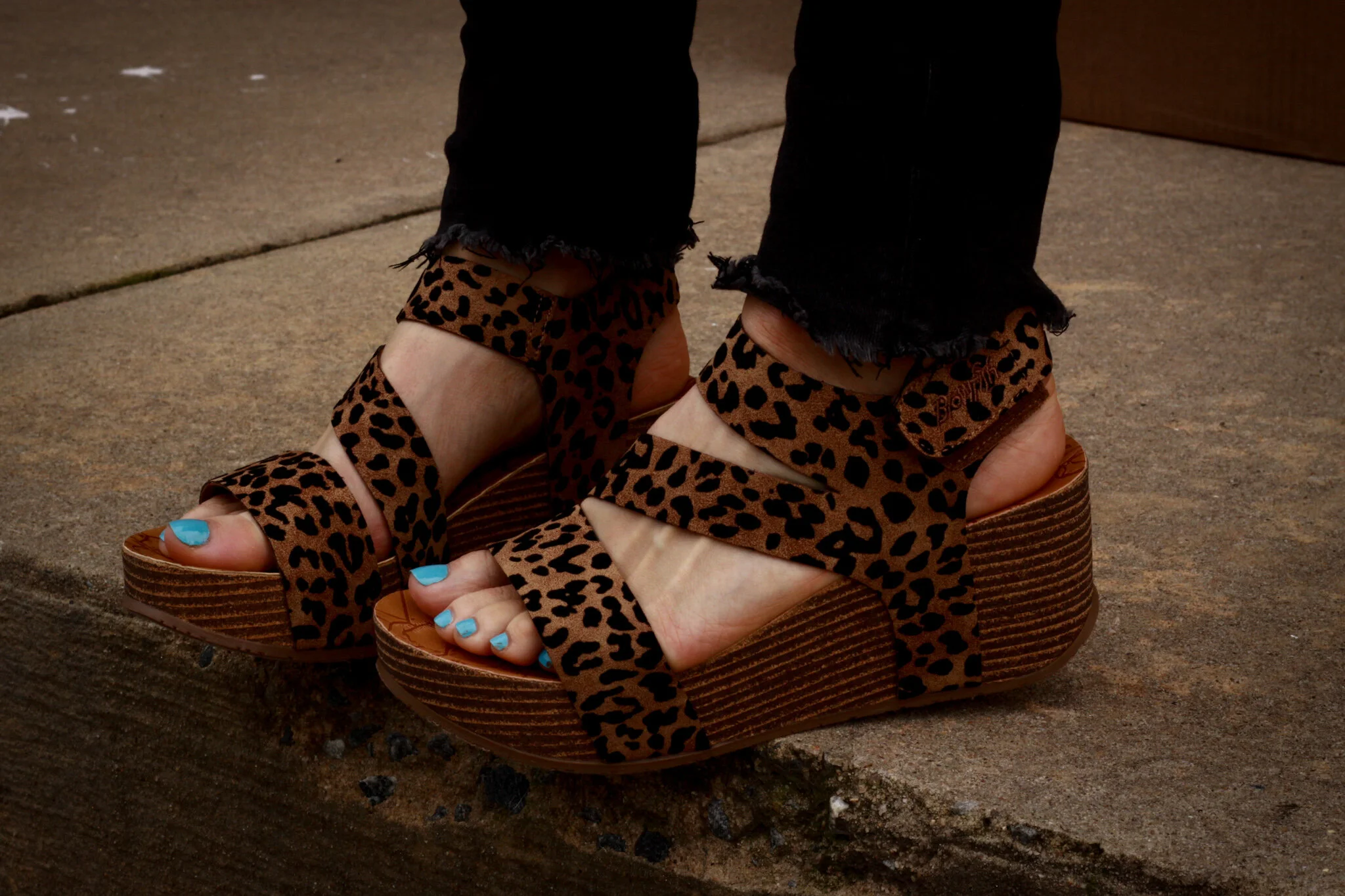 blowfish leopard wedges