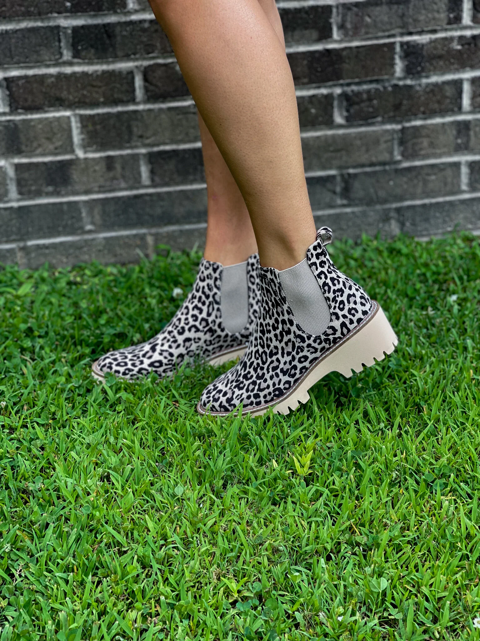 coconuts leopard booties