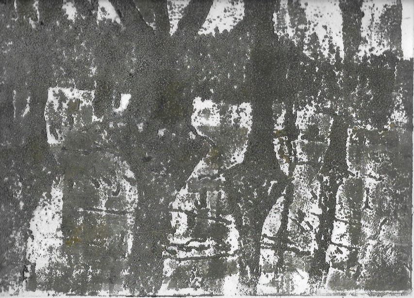 Frozen Swamp, Screen Print Collograph Relief, 11" x 15" 2016