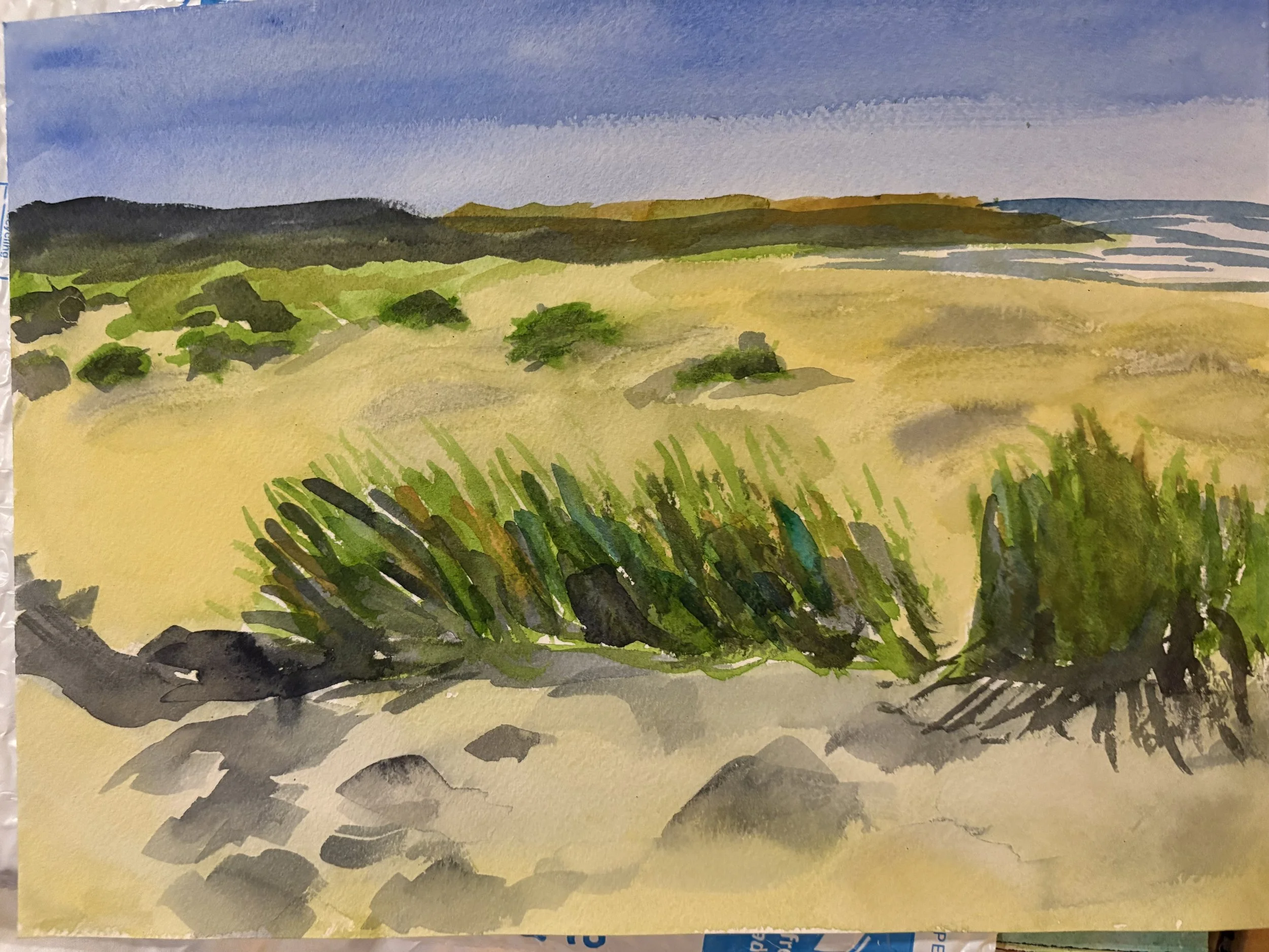  Beach Dunes in Oregon, 12 × 9”, Watercolor on paper, 2026 