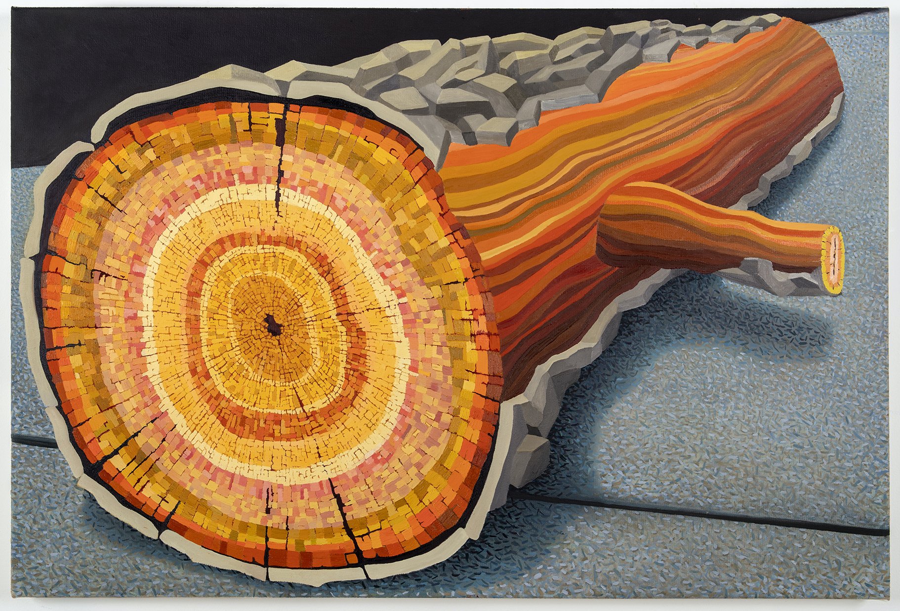 Cross Sections 