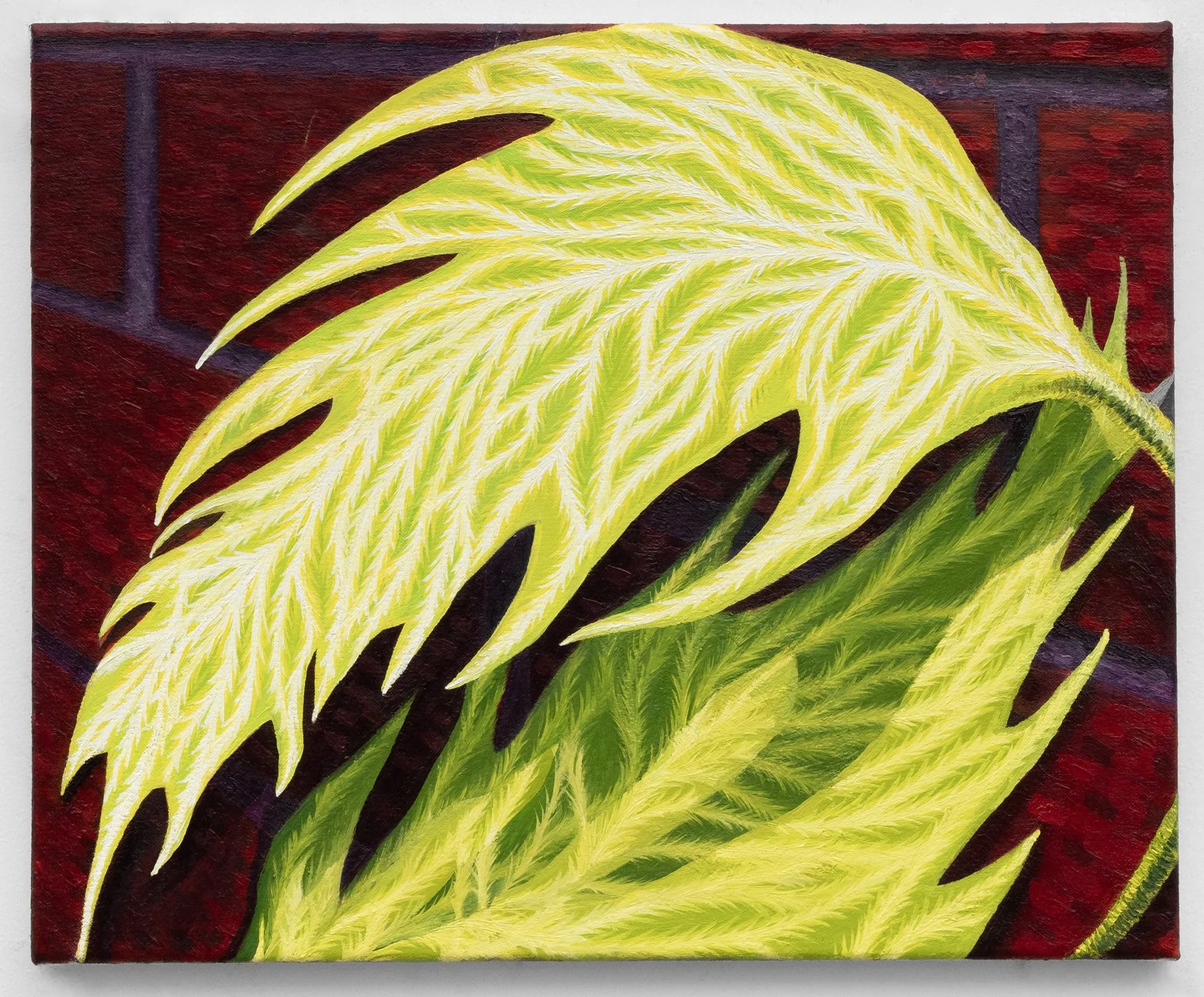 Palm Reader
