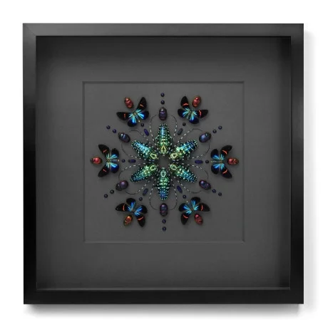 Pheromone art