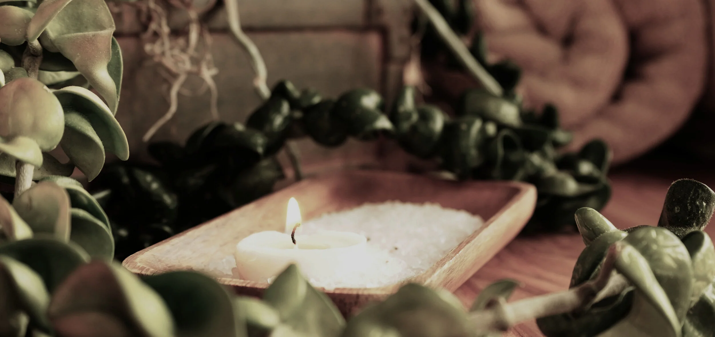 Spa banner image.jpg