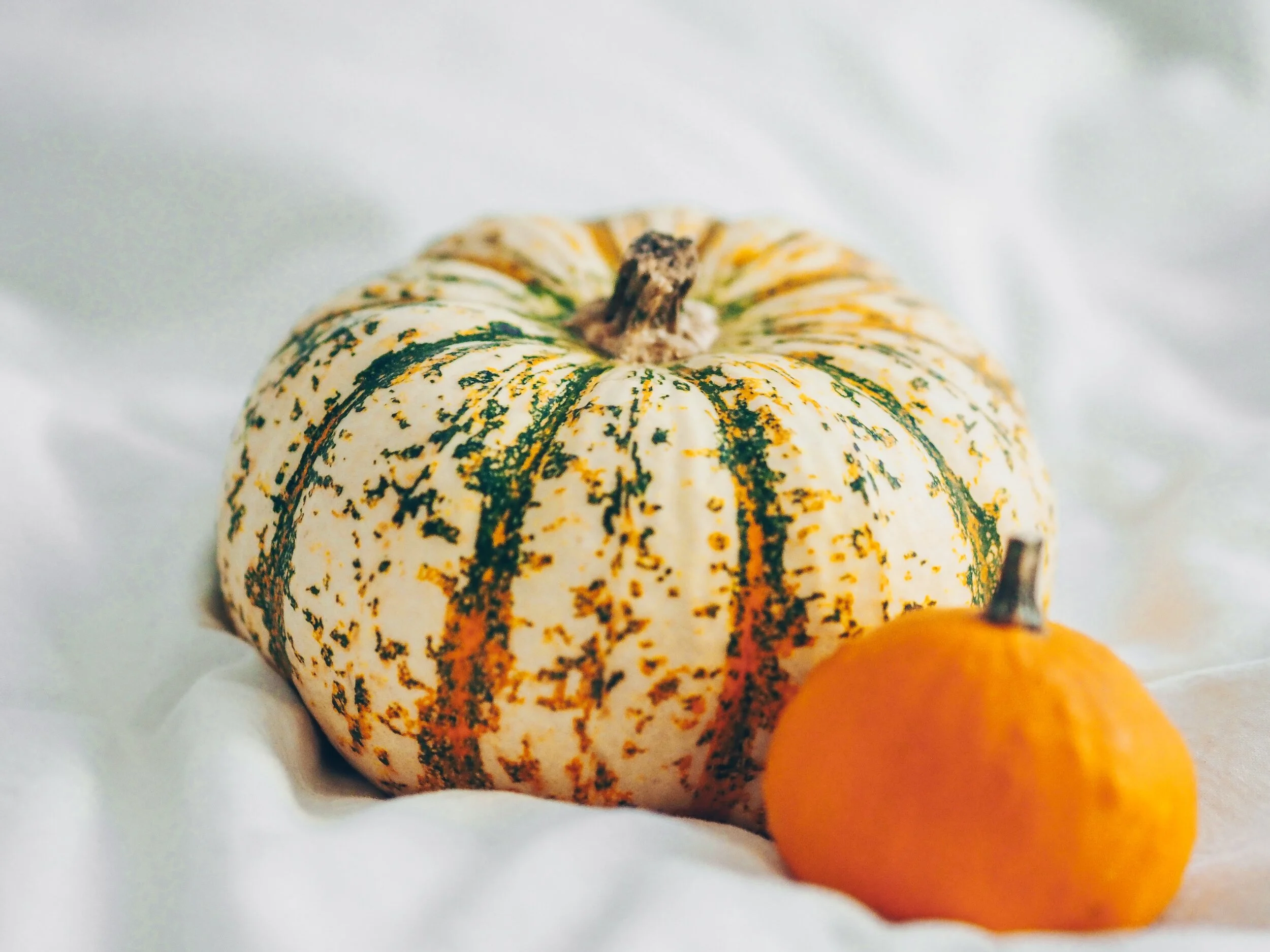 Pumpkin Harvest Body Ritual — The Urban Muse
