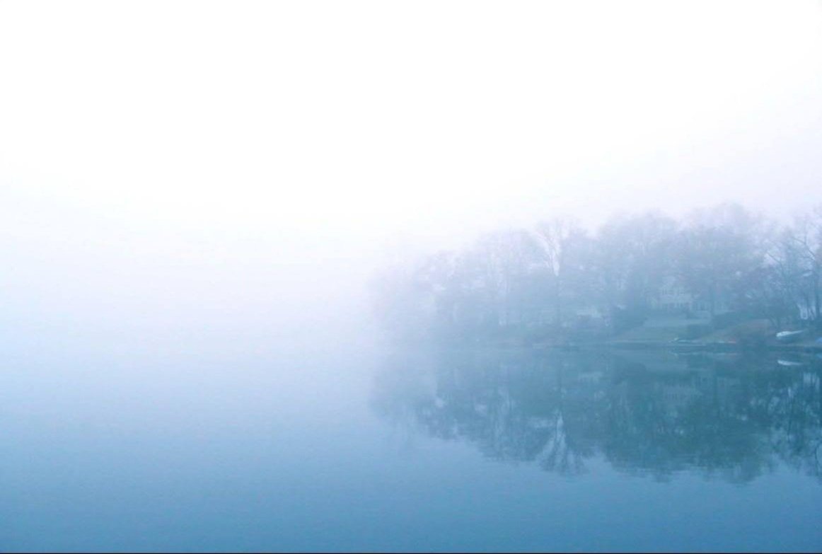 Gallery Show | Serene Scapes