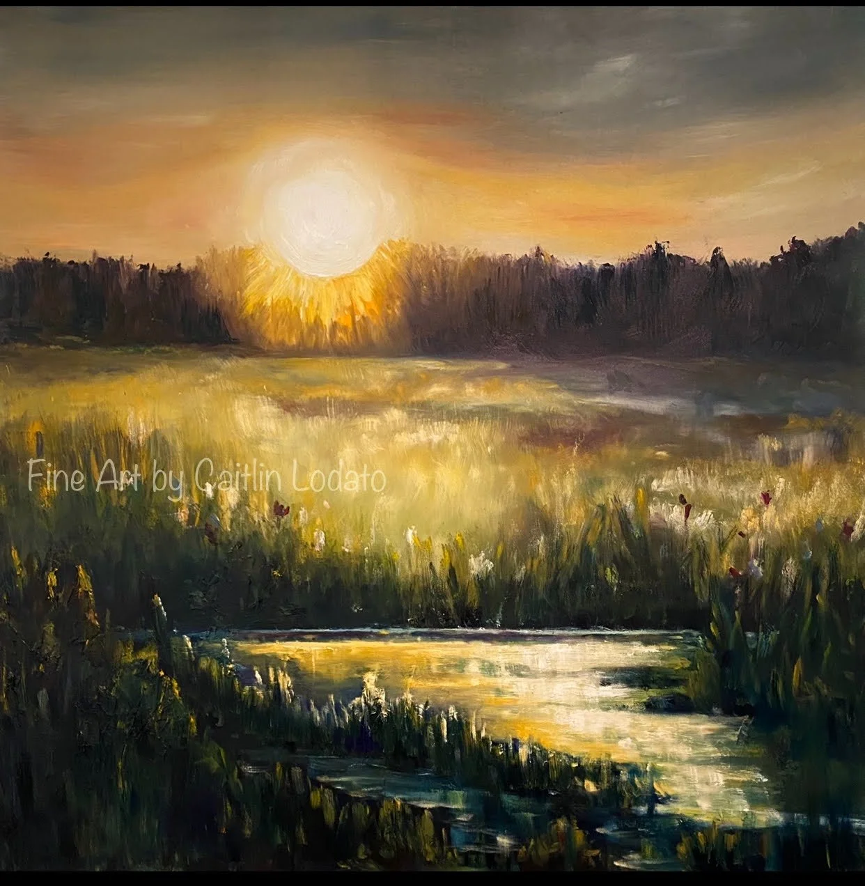 Gallery Show | Nature's Reflections