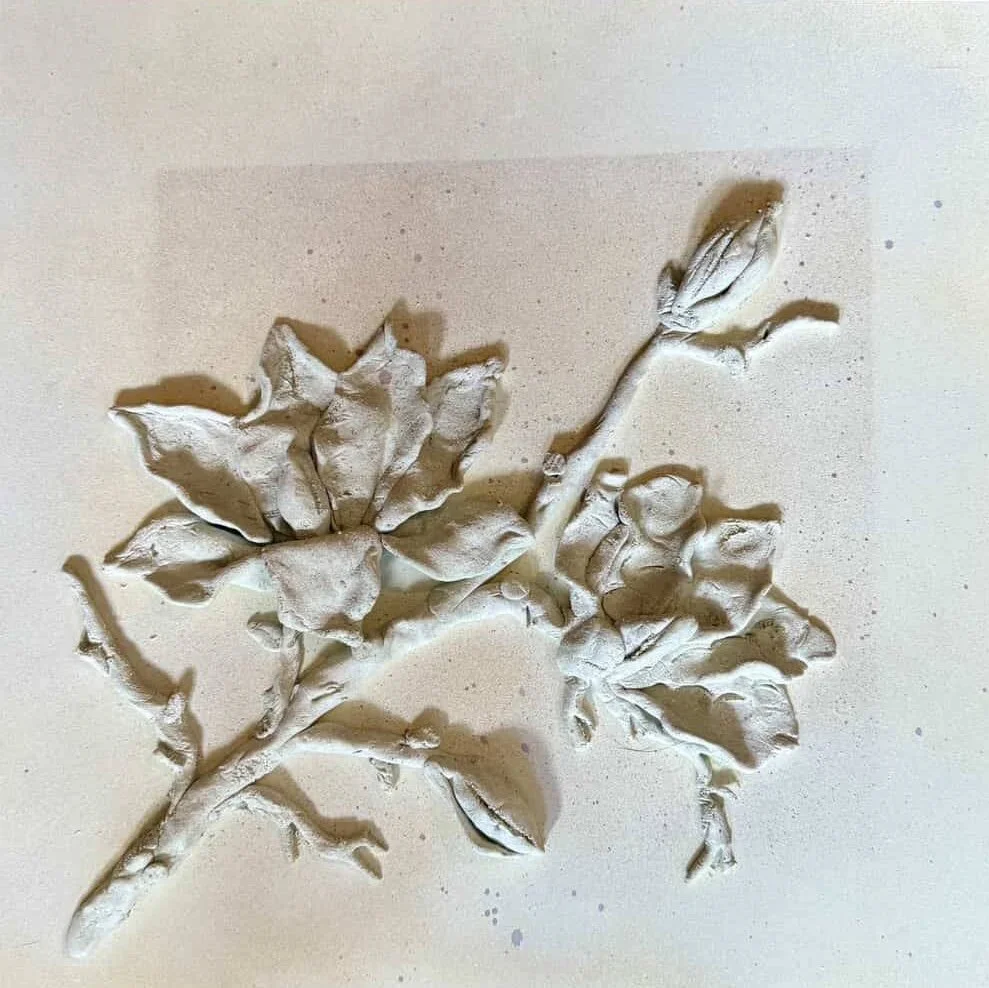 Artist Reception | Tender Layers by Ovi Paulter