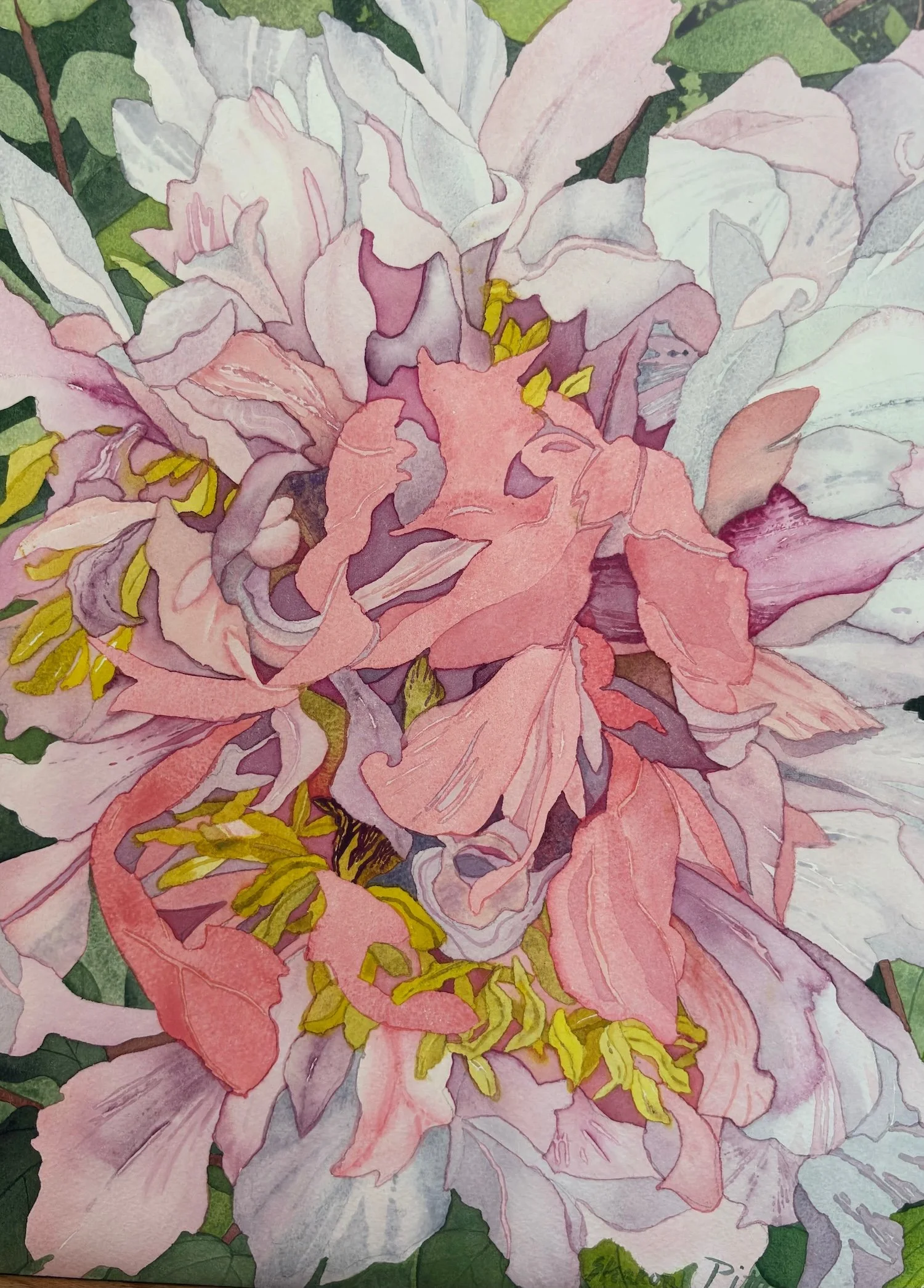 Flora &amp; Fauna | Gallery Show