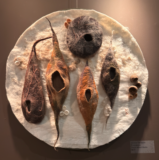 Textured Earth | works in wool Gallery Show