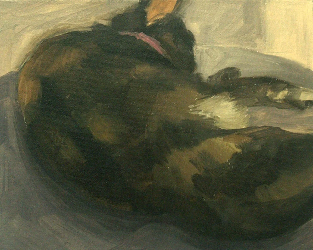 Bella, Asleep, 2010