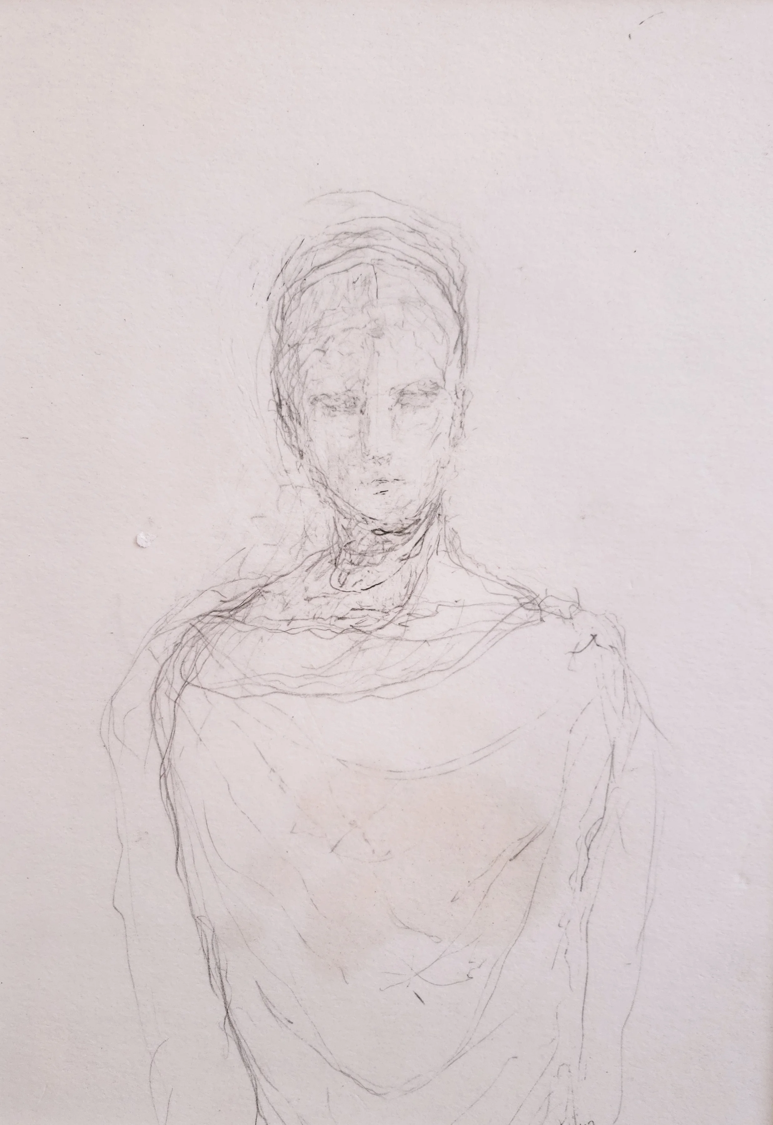 Anonymous IV, 2013
