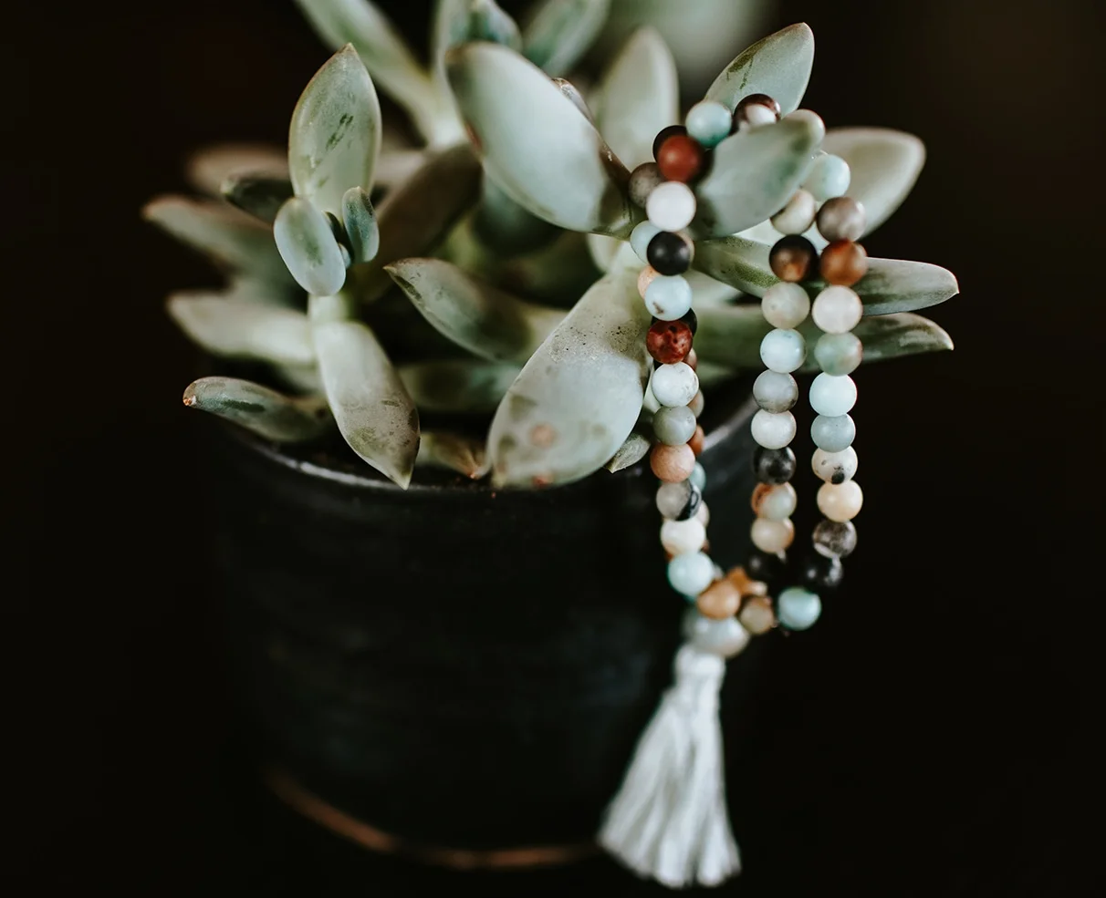 mala in plant .jpg