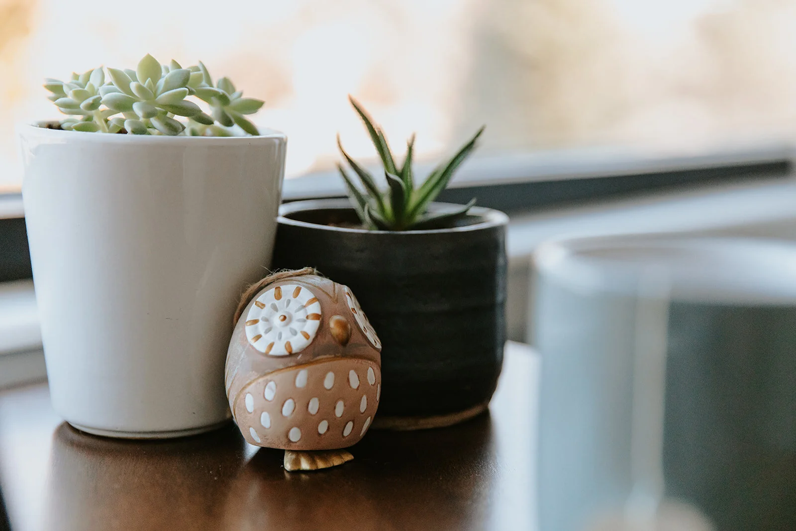 EileenPurdy plants on desk owl.jpg