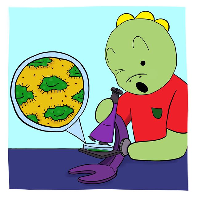 A new school year means learning lots of new things! Today I got to use a microscope for the first time. Leave a comment if you love science as much as I do! (P.S. Swipe through for a fun surprise) π¨βπ¬π¬π#tommythedinosaur #scienceforkids #learningsomethingnew
.
.
.
#educational #childrensbooks #childrensbook #childrenbooks #read #readingisfun #goodreads
#instabooks #bookworm #school #library #kidsbooks #booklovers #socialjustice #socialchange #literacy #mommyblogger #blog #teacher #school #kidlit #kidsbookstagram #kidsreading #picturebooks #momblog #mommylifestyle