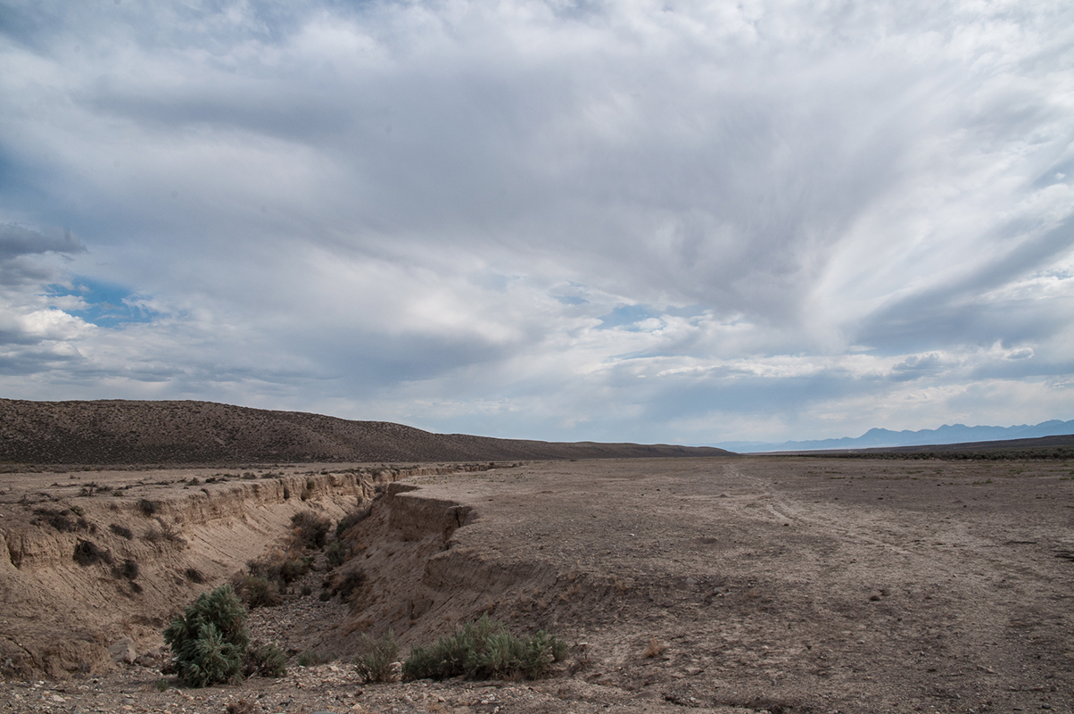 DSC_0130-2.jpg