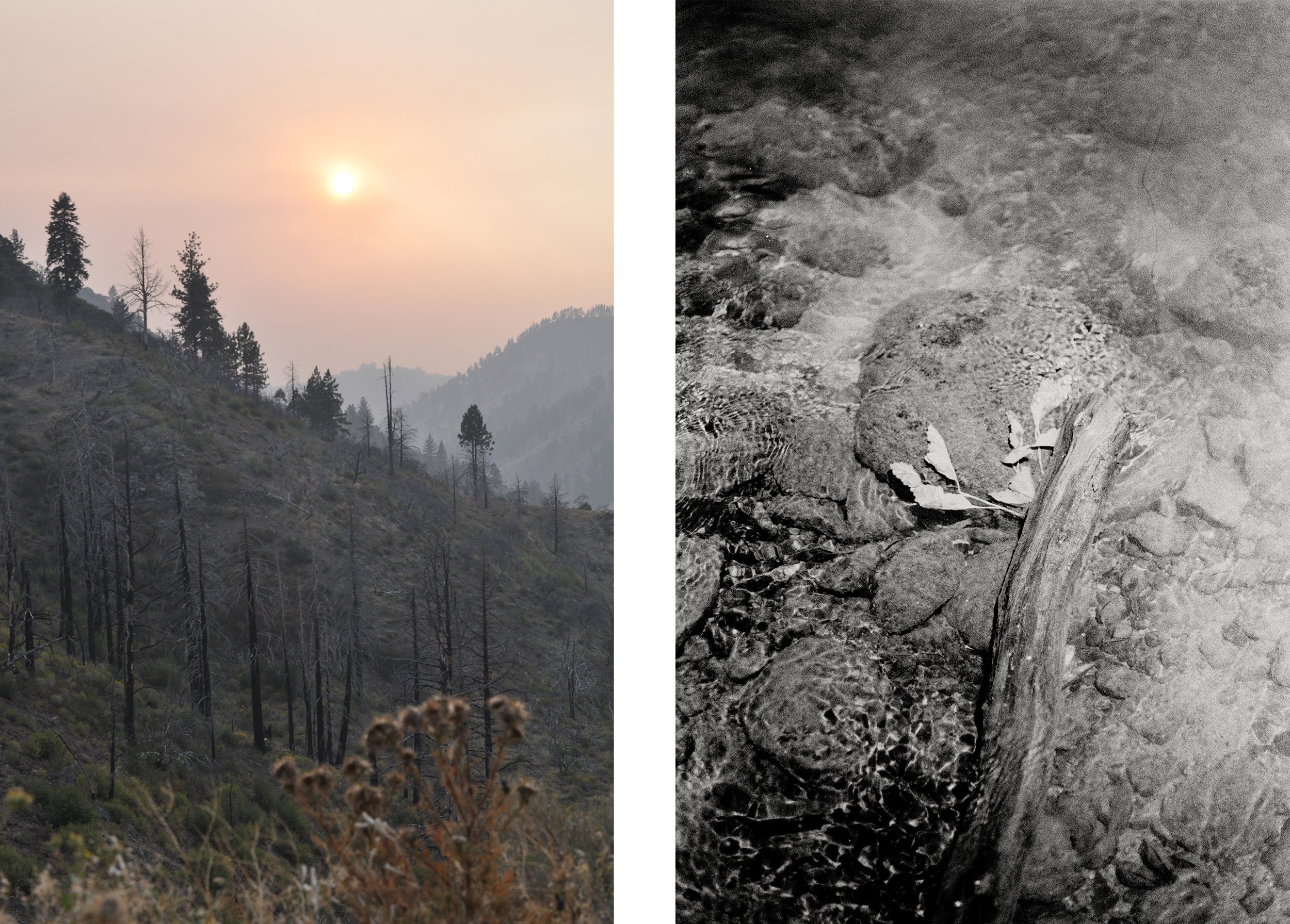   Trees in Smoke.  Markleeville, CA. 2020.   Truckee River.  South Lake Tahoe, CA. 2020. 