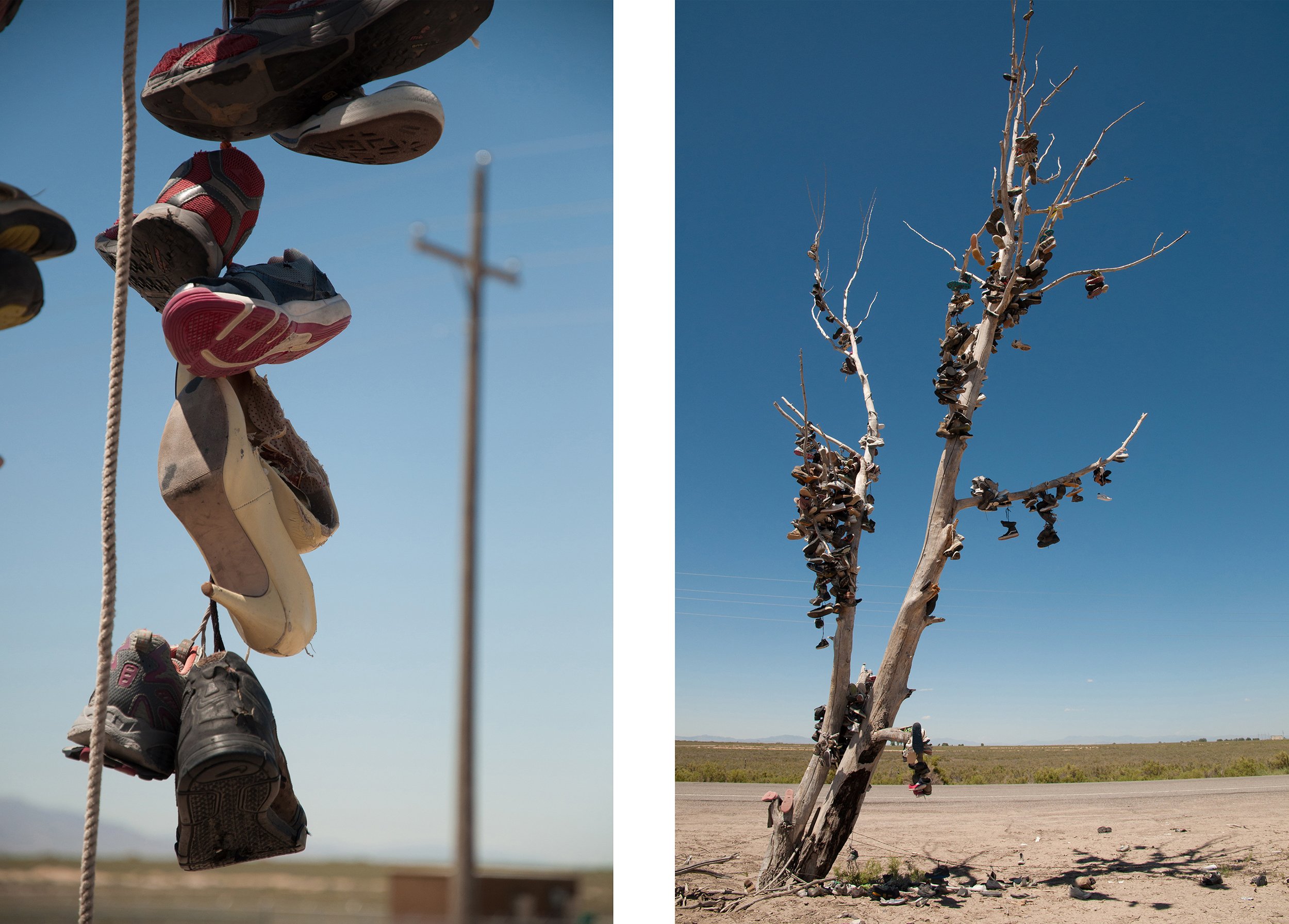   Shoe Tree.  Nevada. 2016. 