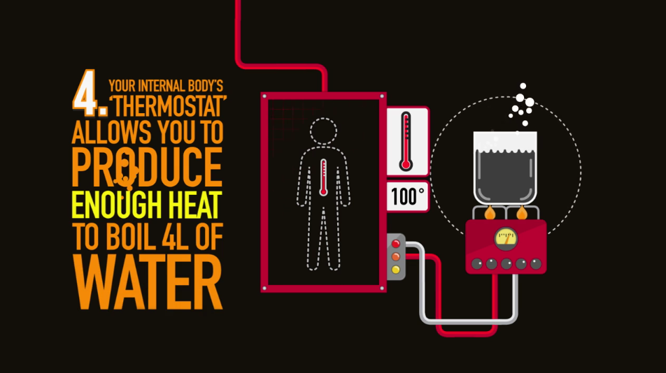 Screen Shot 2015-08-05 at 3.45.16 pm.png