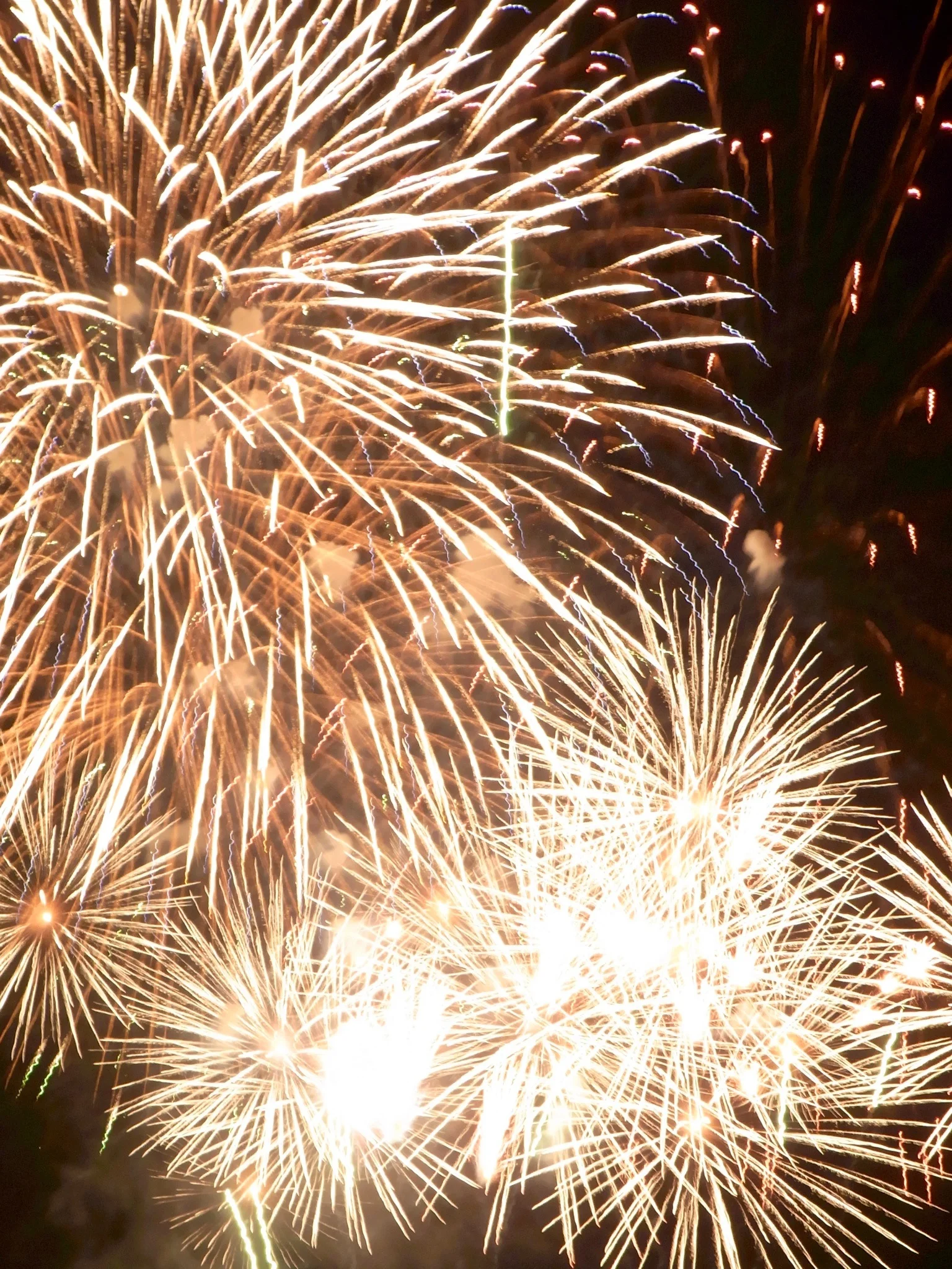 Firework via Pinterest.jpg