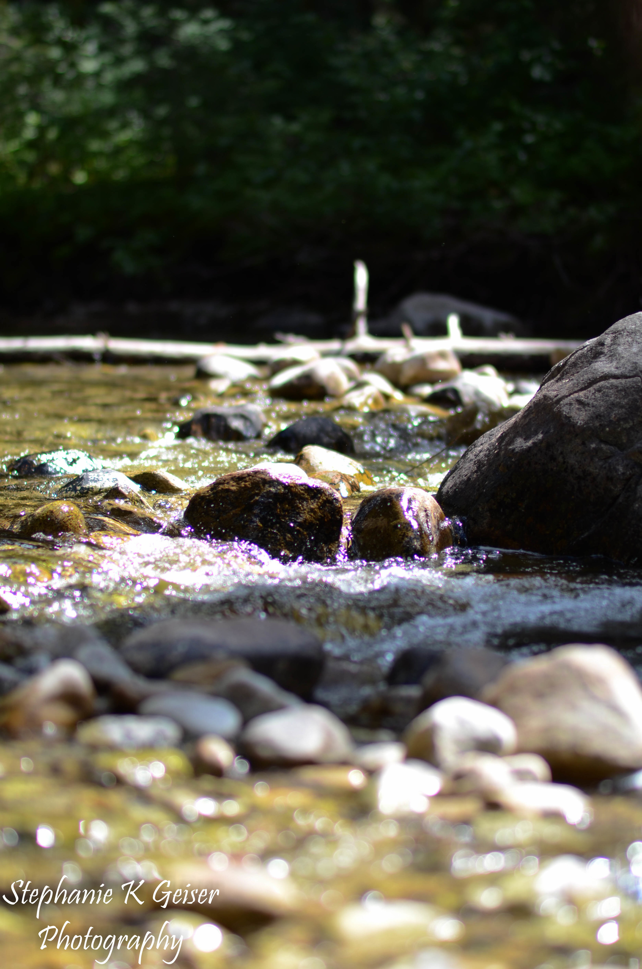 untitled-0401.jpg