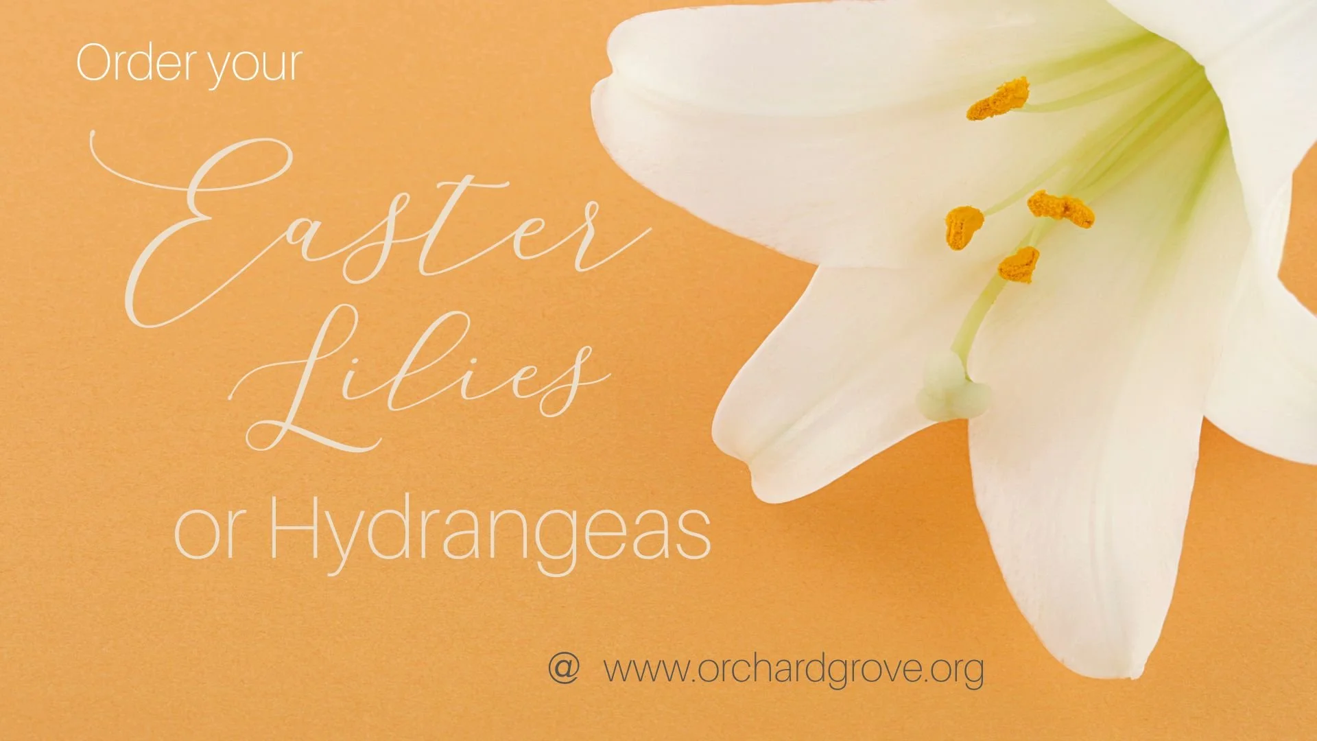 Memorial Flowers slide.jpg