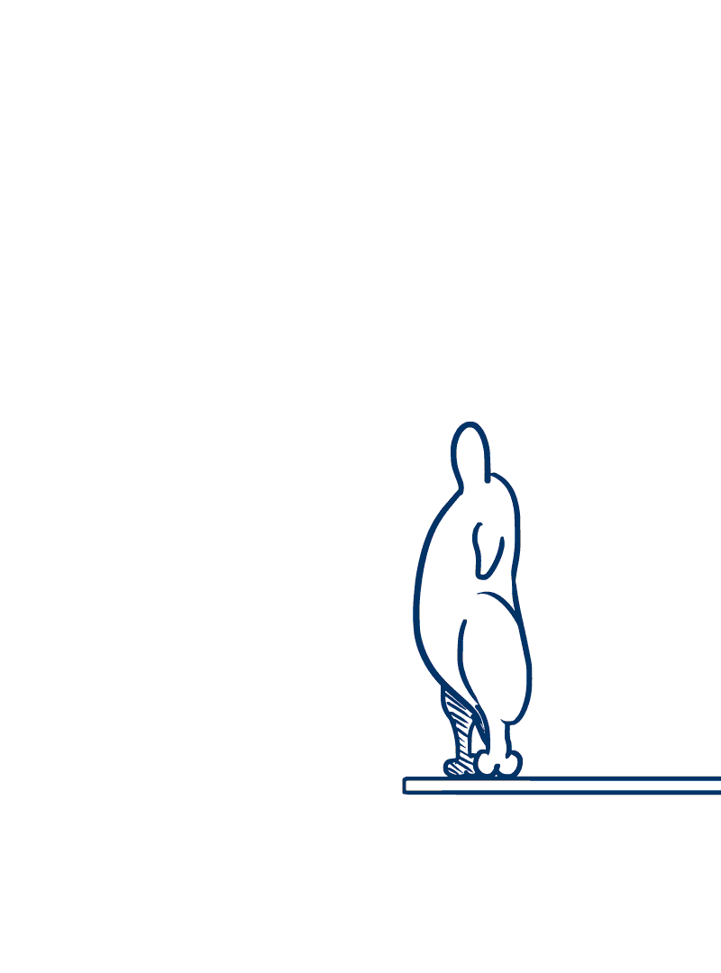 chicken-flip-1.gif