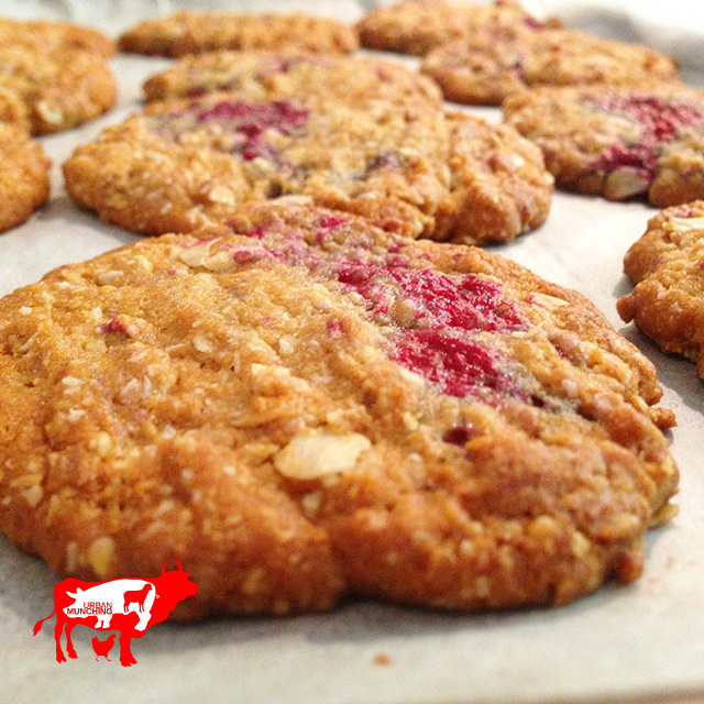 Raspberry Anzac Biscuits Photo: Tim Elwin